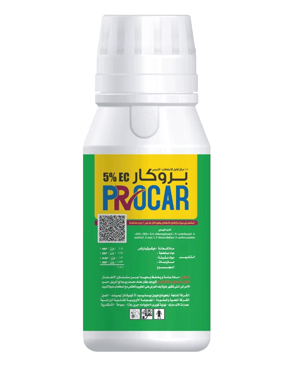 بروكار