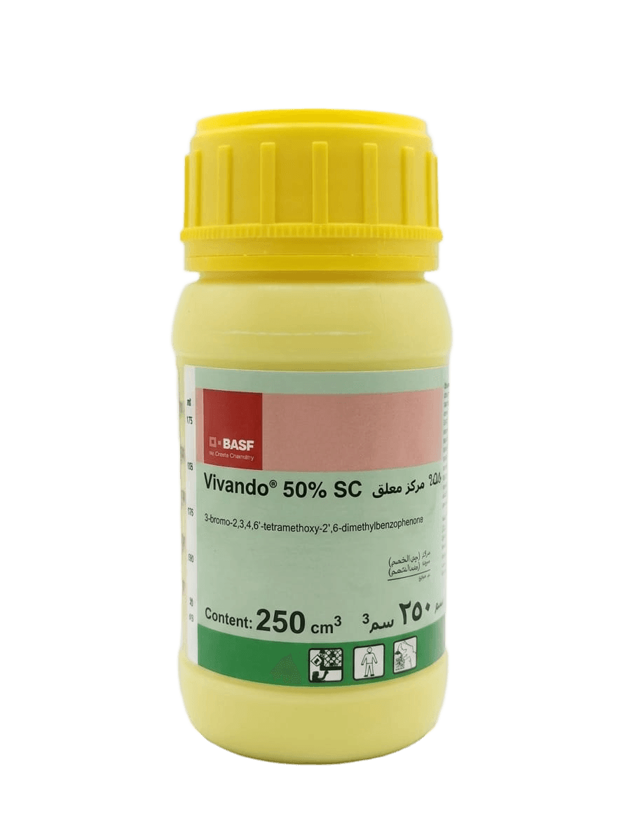 فيفاندو 250سم 