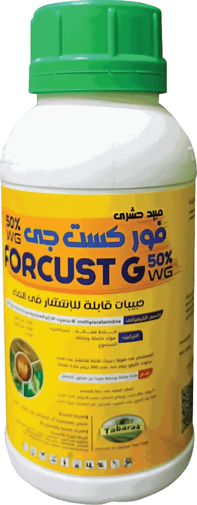 فوركست جي 50% دبليو جي