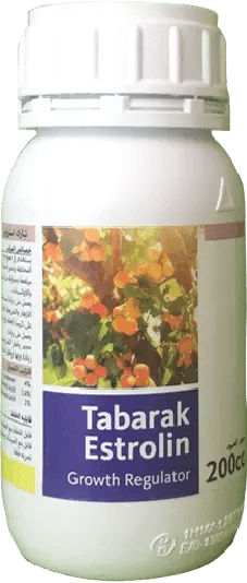 تبارك إسترولين