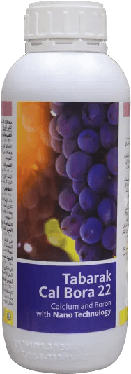 تبارك كال بورا 22