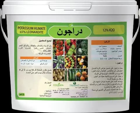 دراغون 