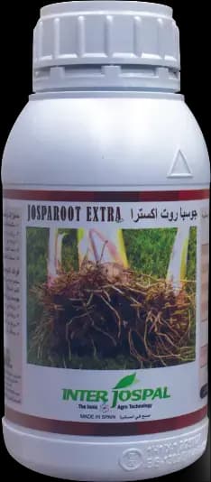 جوسبا روت اكسترا