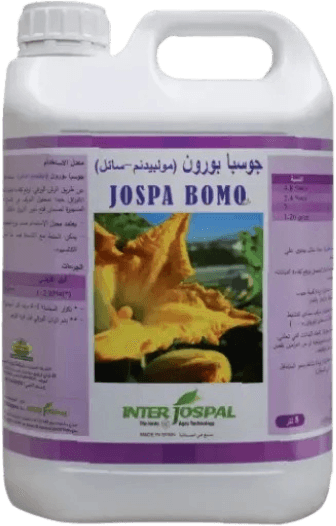 جوسبا بورون-مولبيدينوم