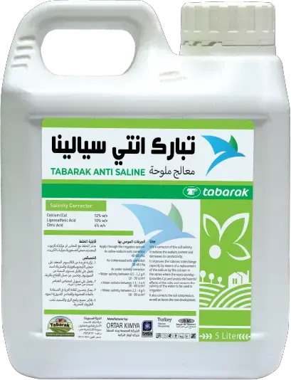 تبارك انتي سيالينا
