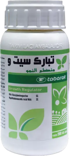 تبارك سيتو