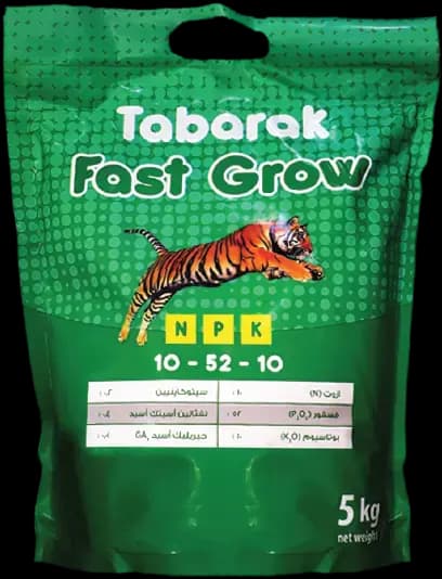 فاست جرو 10-52-10