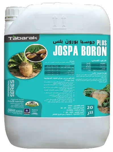 جوسبا بورون بلس
