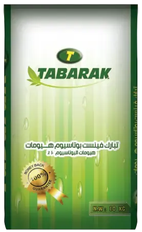 تبارك فينسنت هومات