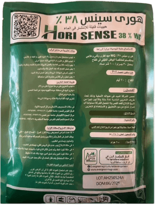 هوري سينس ٣٨٪