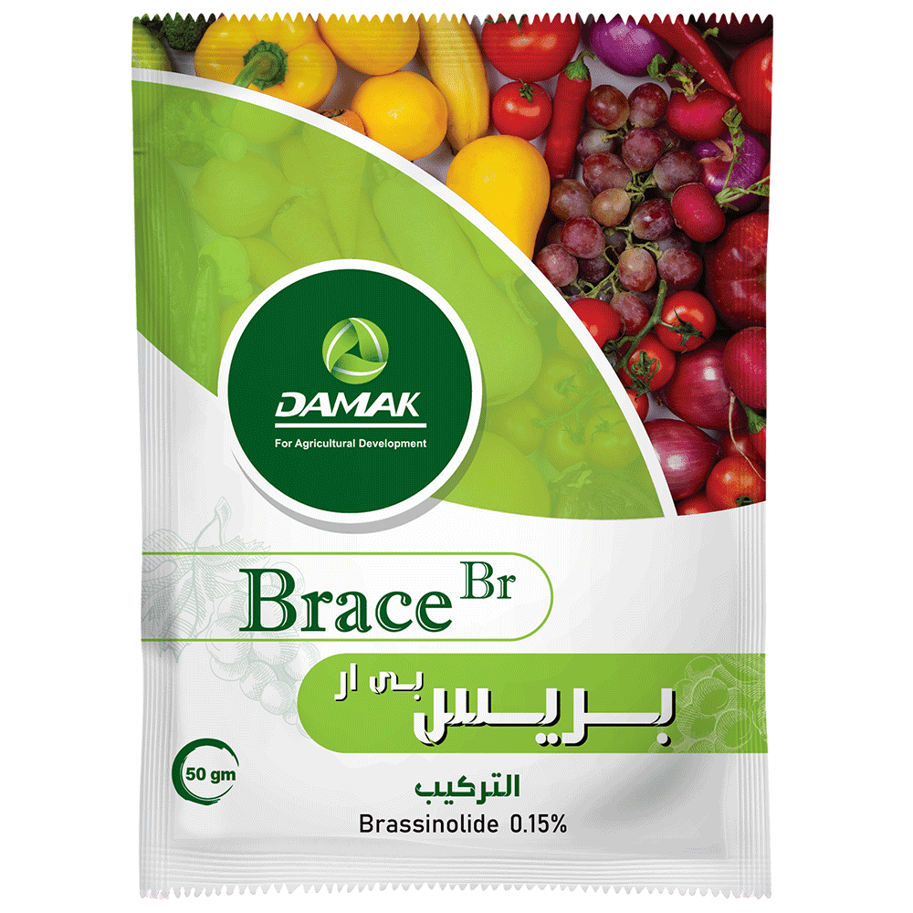 بريس بي ار