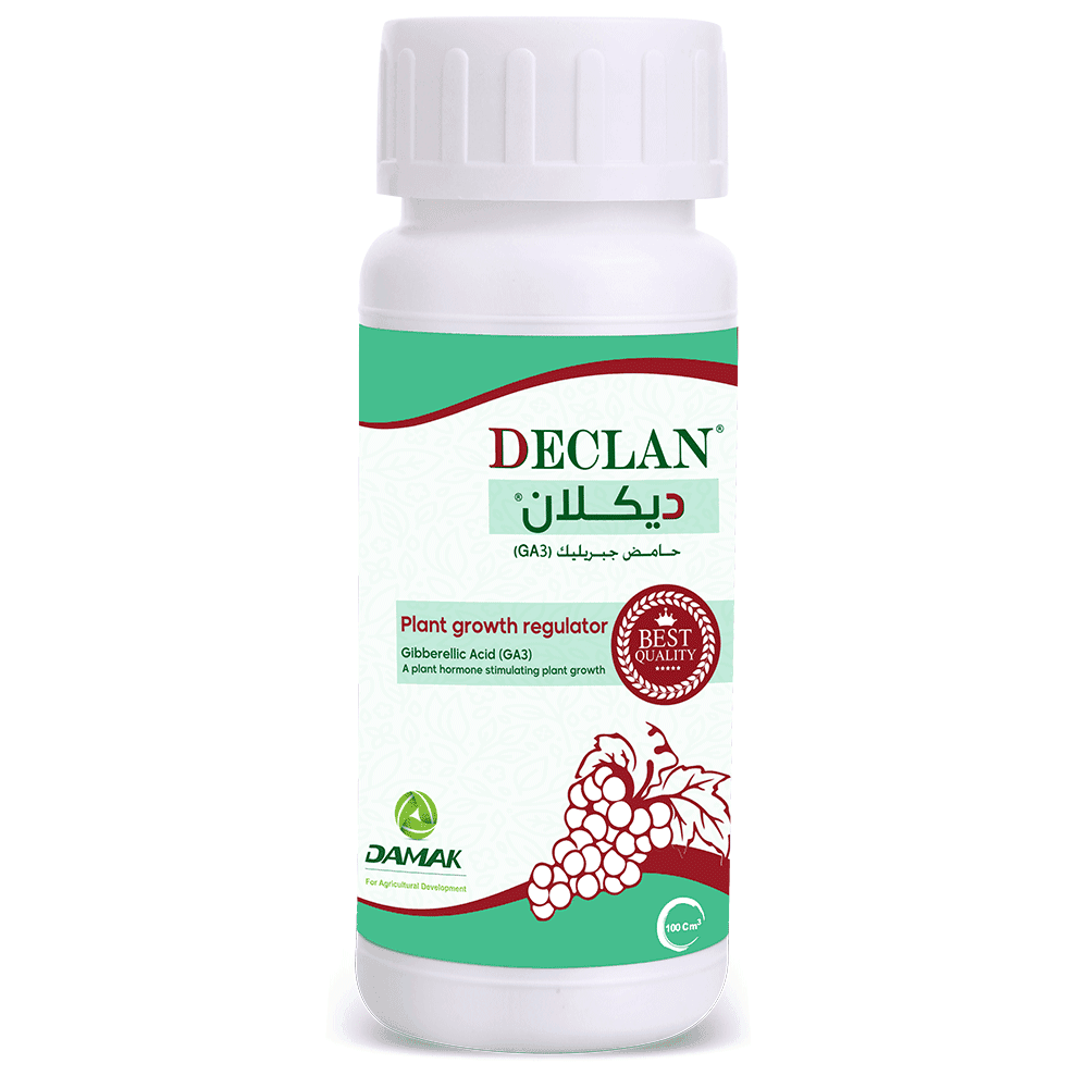 ديكلان