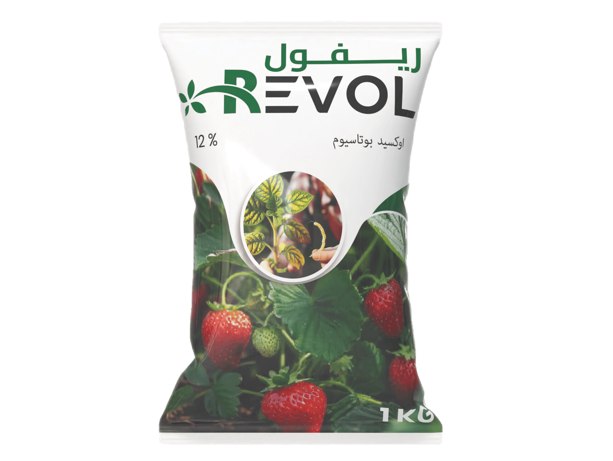 ريـــــفـــــول 1كيلو