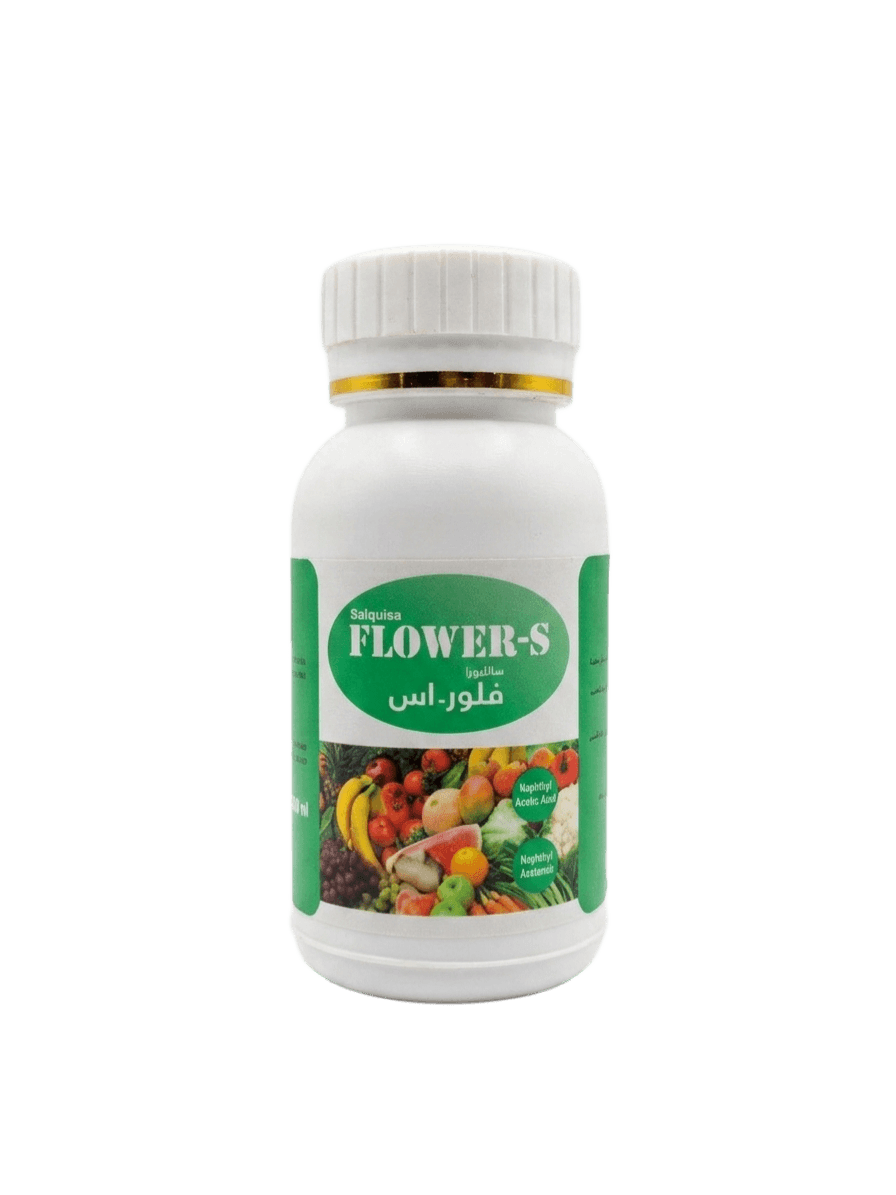 فلور اس 100سم 