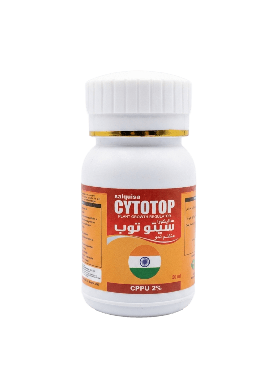 سيتوتوب 50سم 