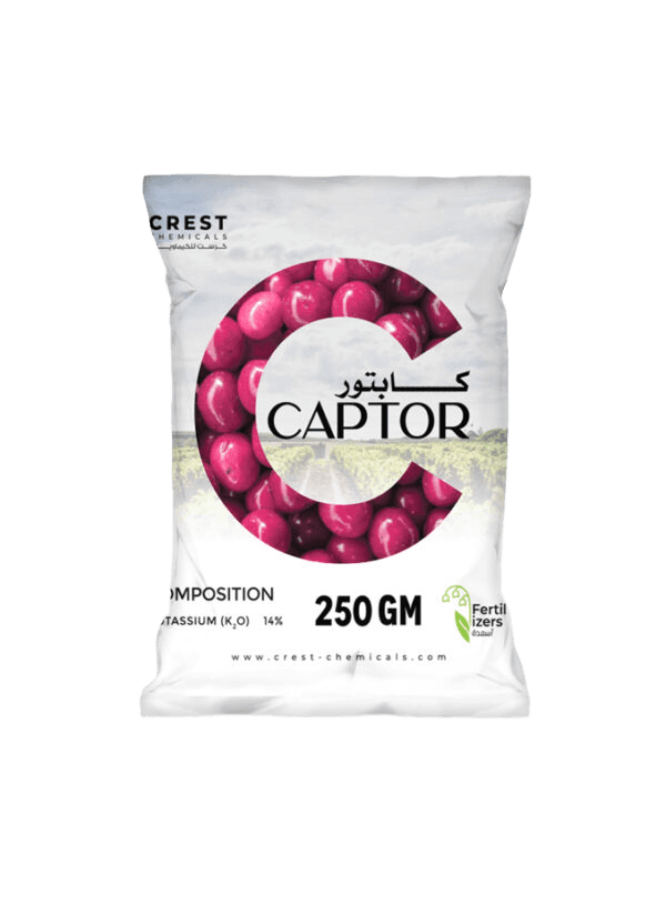 كابتور250 mg