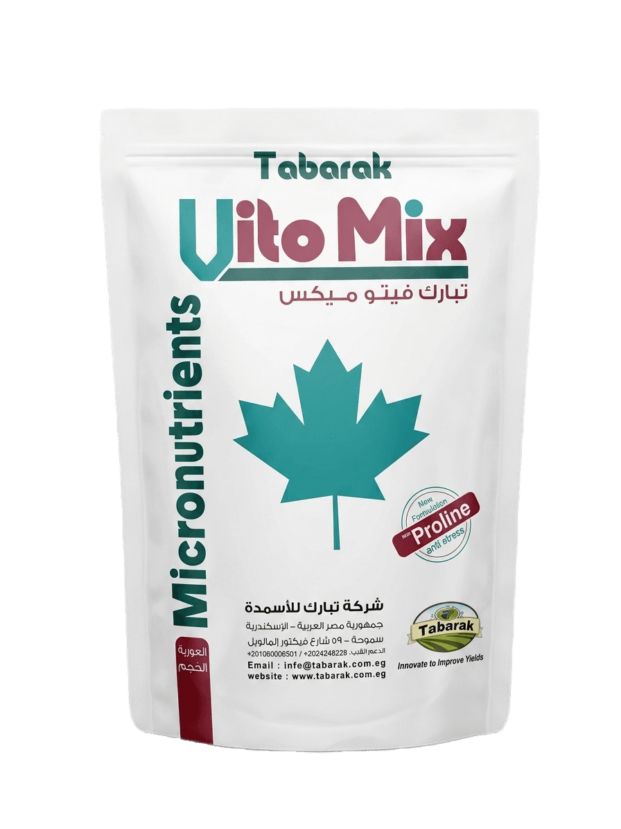 تبارك فيتو ميكس