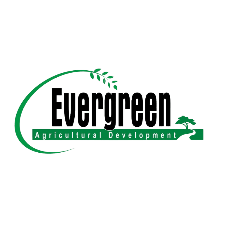 ايفرجرين-EVERY GREEN